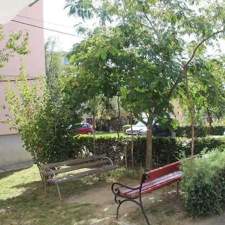 Apartament Anca Apartment Târgu Ocna Exterior foto