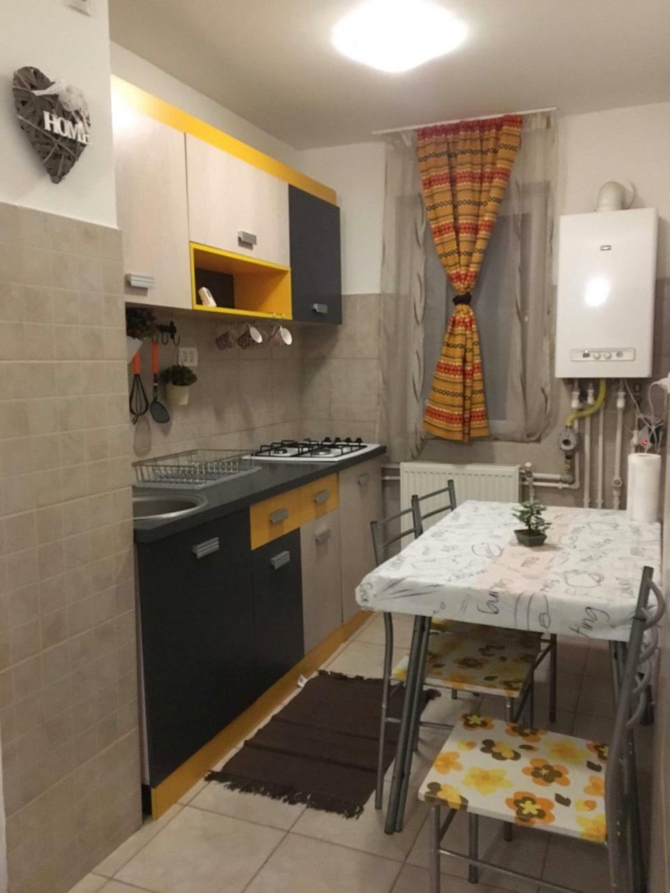 Apartament Anca Apartment Târgu Ocna Exterior foto